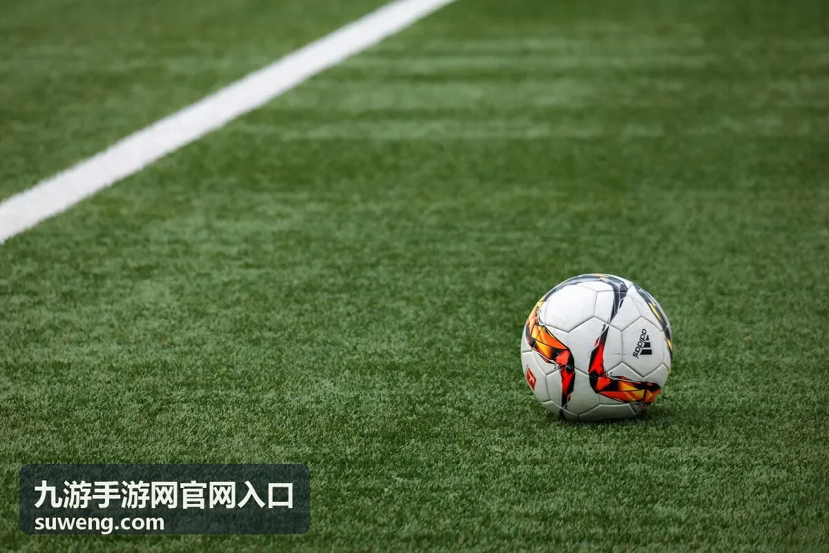 九游手游网官网入口的新手养成攻略专题